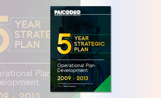 PAICODEO - Five Year Strategic Plan 2009 to 2013